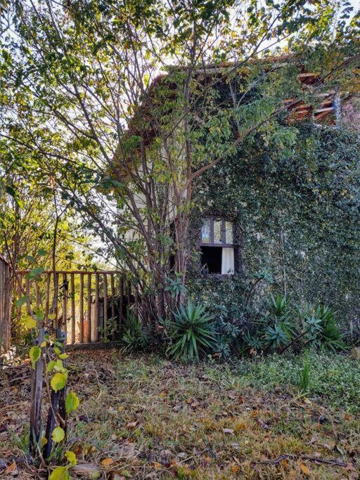 Mg Holiday home *